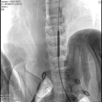 ImexMedical -UniqueFD-Clínica - 10