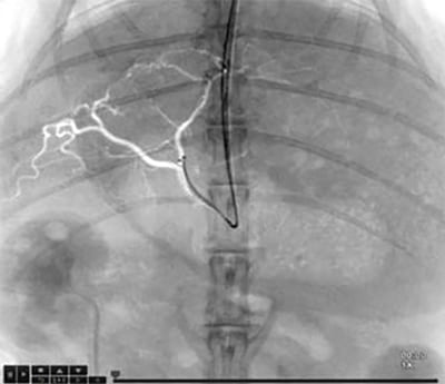 ImexMedical -UniqueFD-Clínica - 15