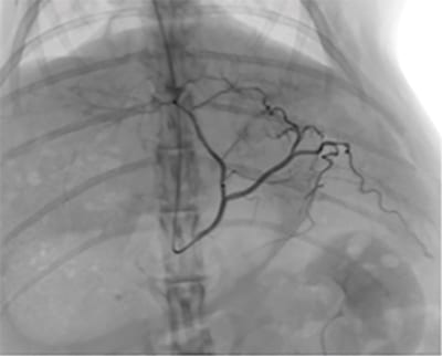 ImexMedical -UniqueFD-Clínica - 16