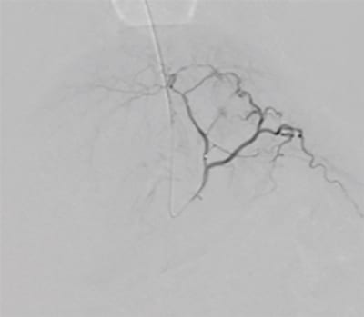 ImexMedical -UniqueFD-Clínica - 18