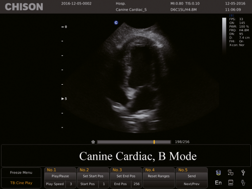 Canine Cardiac, B Mode