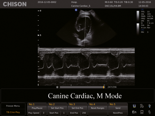 Canine Cardiac, M Mode