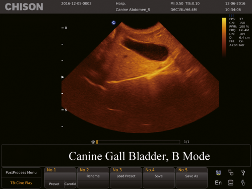 Canine Gall Bladder, B Mode